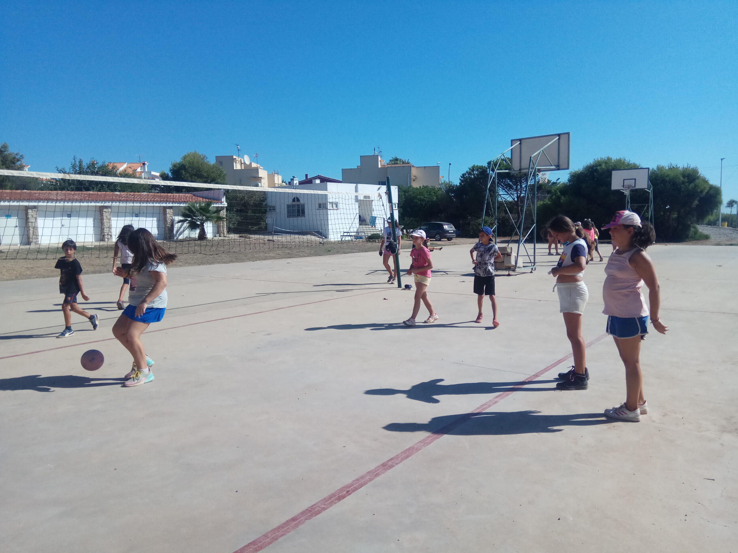IMG_20190810_104327 (1)